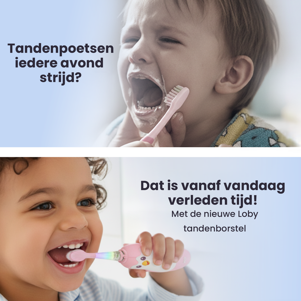 Prinses Roze - NL