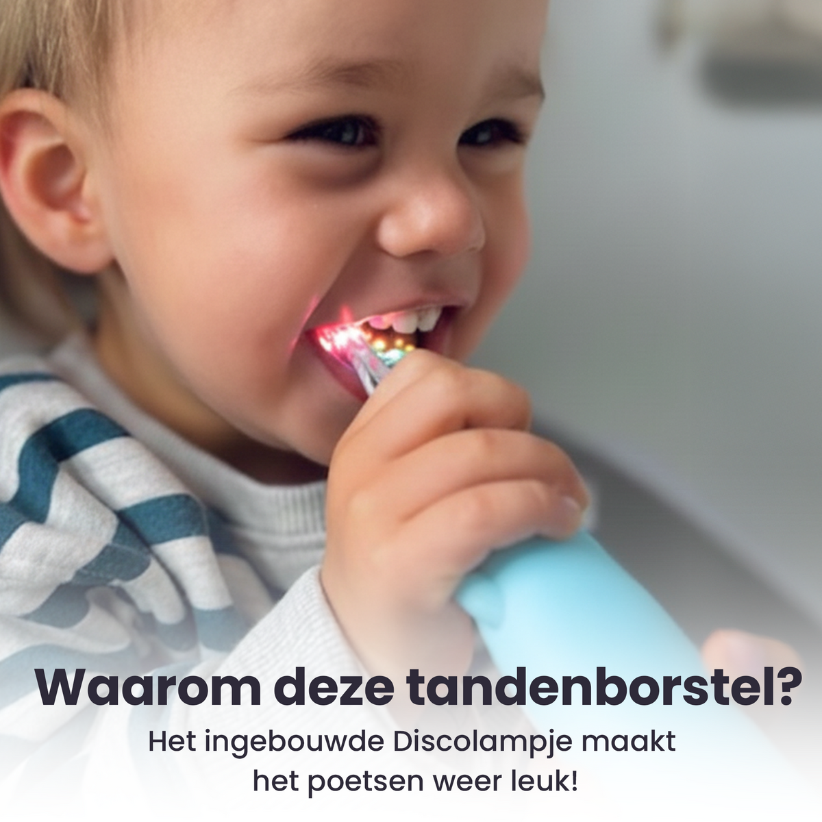 Prinses Roze - NL